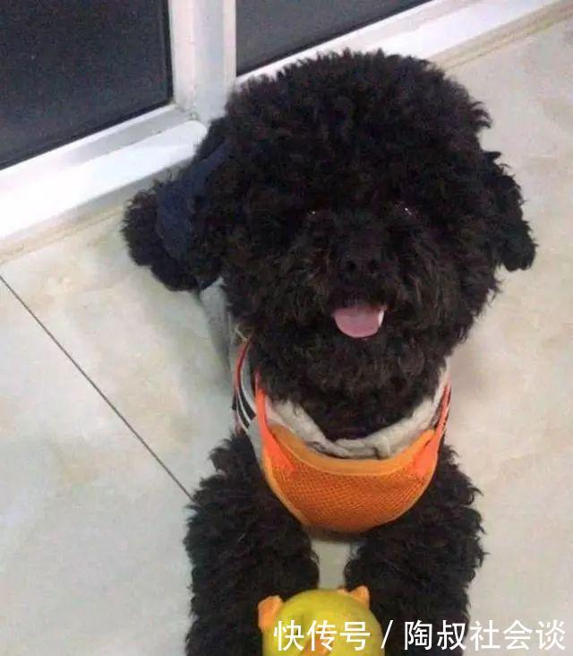 在全球化的大背景下，一个独特而响亮的英文名字对于个人形象的塑造至关重要。尤其是对于女性来说，一个好的英文名字不仅能彰显个性，还能给人留下深刻的印象。本文将围绕“l英文名女”这一主题，为您提供一些专业的英文名字推荐，帮助您找到最适合自己的名字。